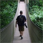 Profile image for Stuart Cann